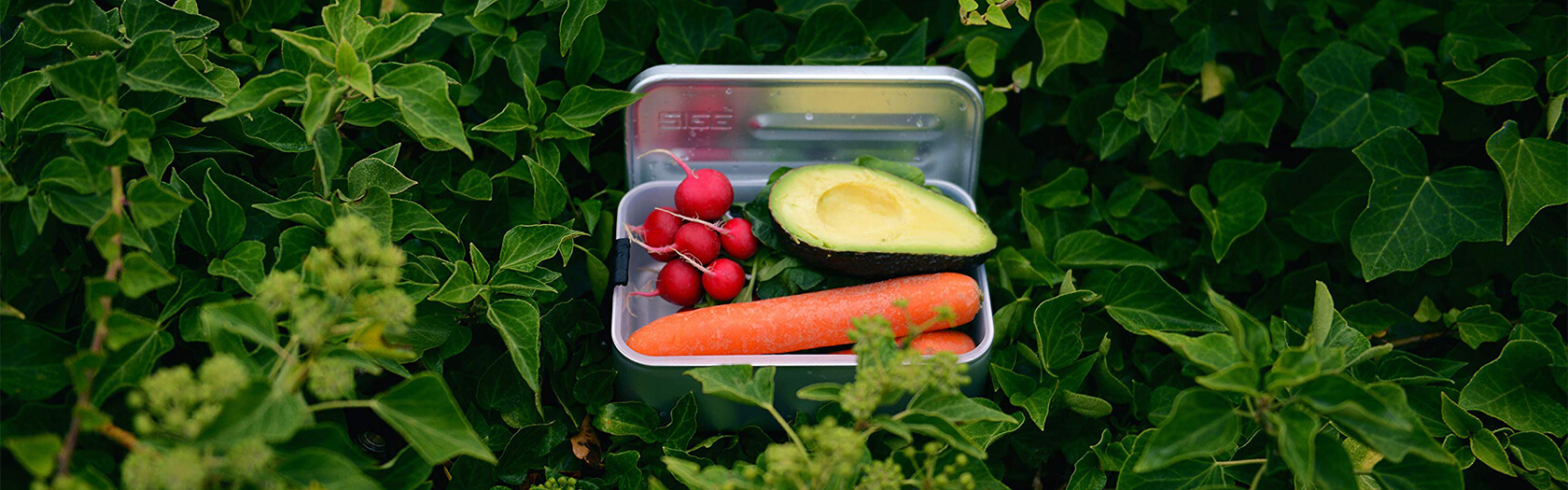Iris Recycling Edelstahl Lunchbox - Banner 